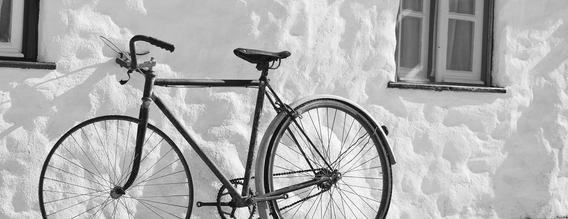 Magasin De Sport De Vélo -Magasin De Sport De Vélo bike 7950617 1920