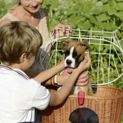 Kit Panier Vélo Chien Doggy Plus + Fixation GTA Klickfix -Magasin De Sport De Vélo kit panier velo chien doggy plus fixation gta klickfix full 6