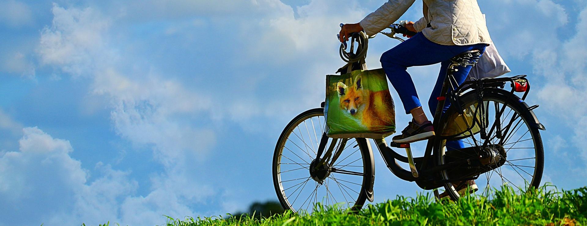 Magasin De Sport De Vélo -Magasin De Sport De Vélo man 3704749 1920